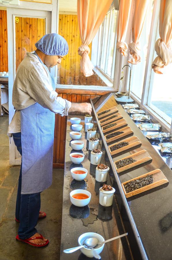 Готель Tumsong Chiabari - The Tea Retreat Дарджилінг Екстер'єр фото